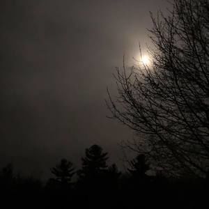 Meet your Posher, Shelly